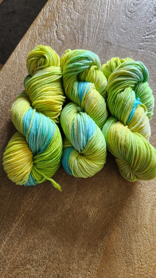 Hand Dyed 8ply/dk - Image 6