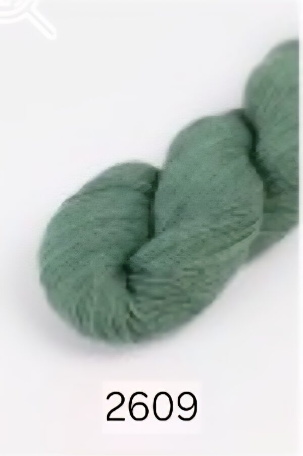 Duna Organic Cotton with alpaca - Image 7